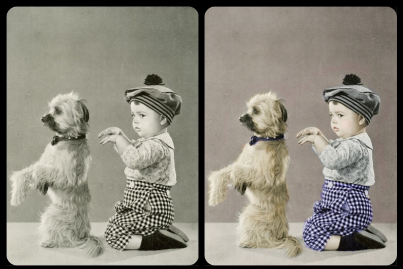 How to restore black and white photos in 10 steps