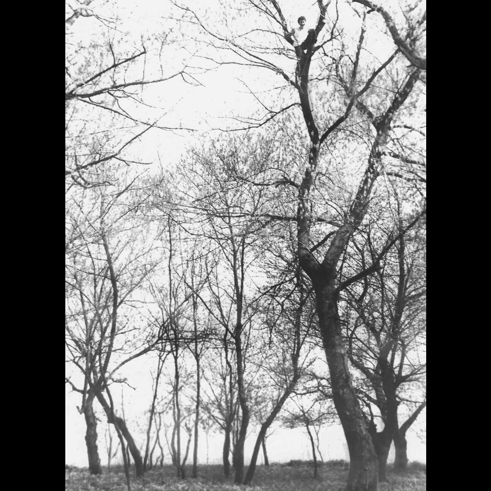 Picture restoration prices How Much Does Photo Restoration Cost